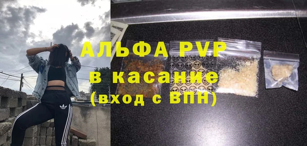молекула духа Алексеевка