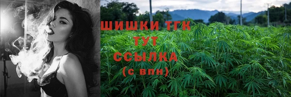 дмт Алексин